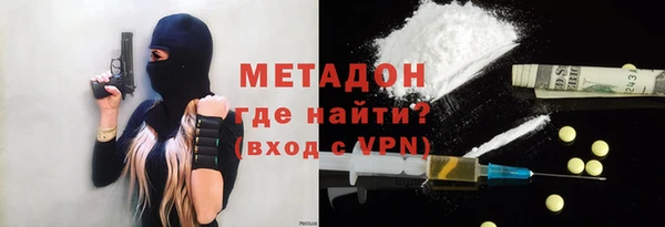 индика Сосновоборск