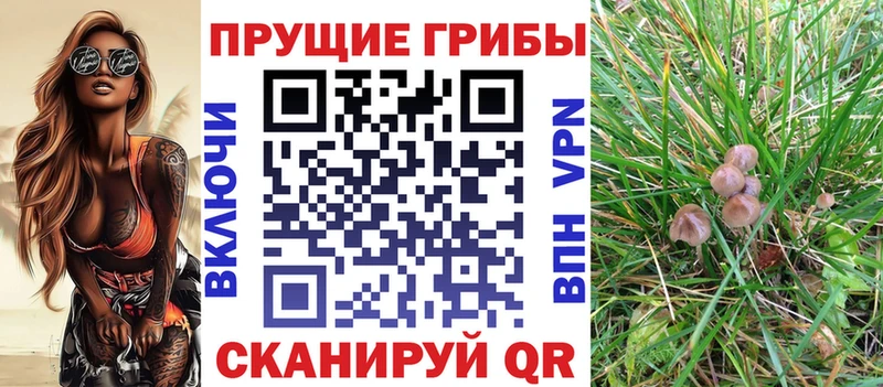 Псилоцибиновые грибы Cubensis  что такое наркотик  Волчанск 